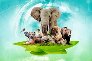Zatu Games